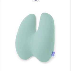 Cushion Lab lumber pillow